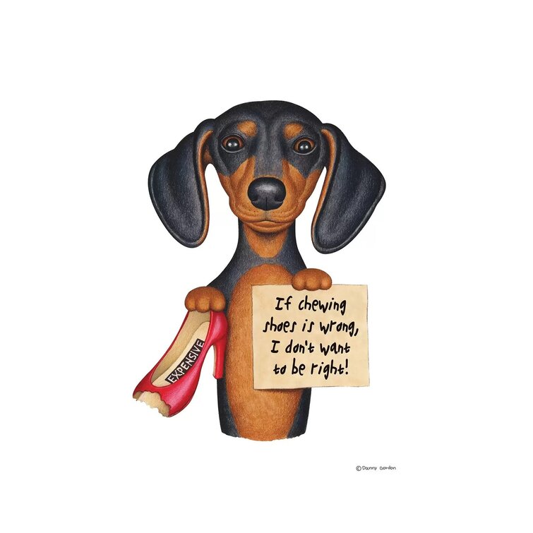 Dachshund sale canvas shoes